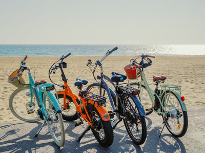 Top eBike Models for Different Needs