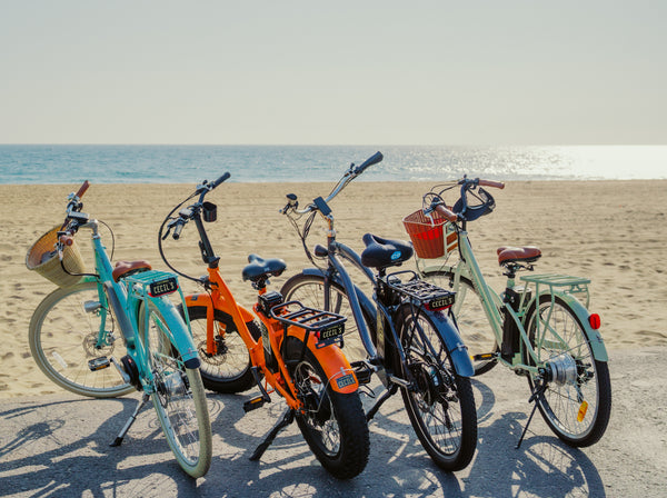 Top eBike Models for Different Needs