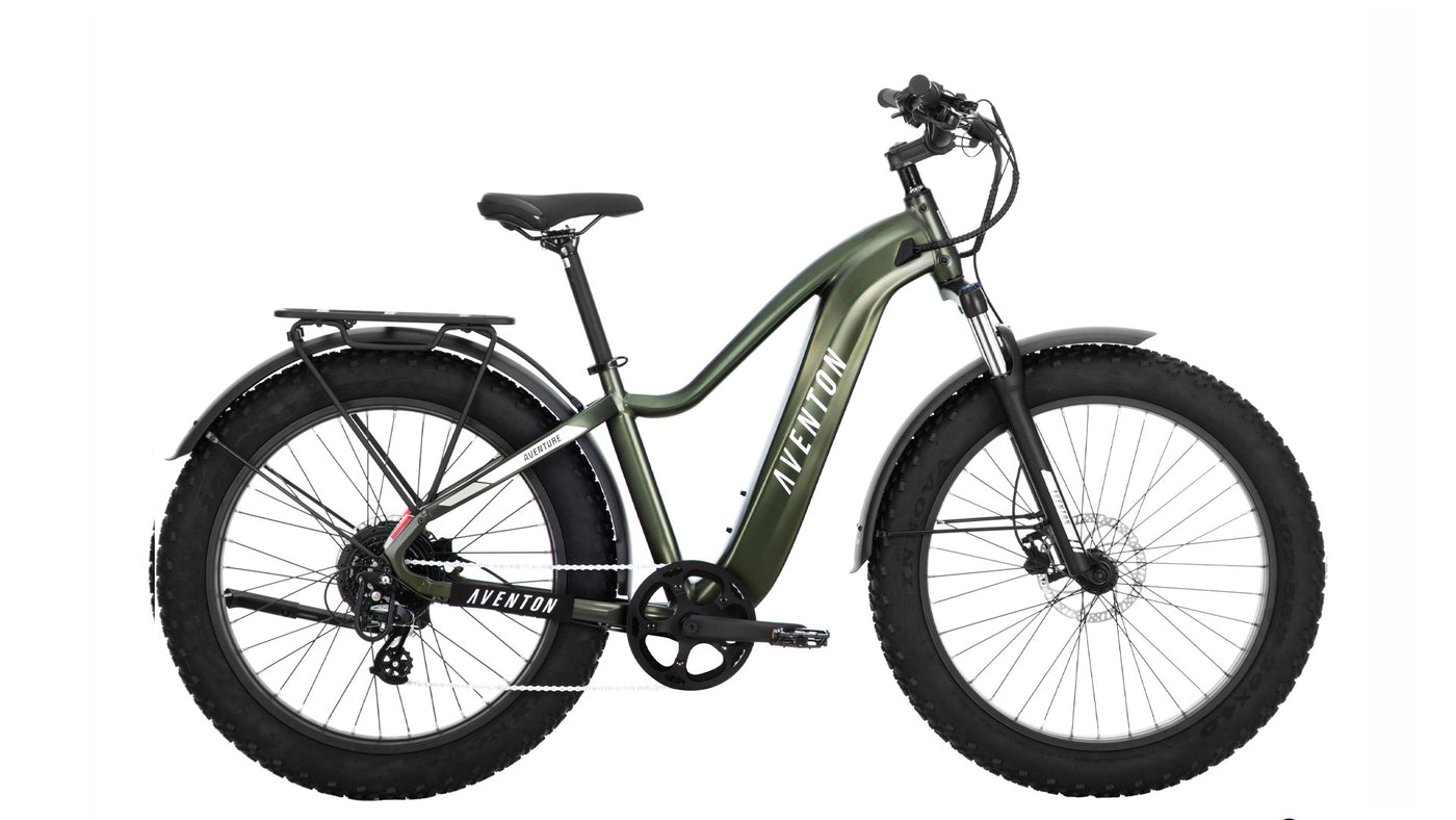 Aventure.2 Ebike (Step-over)
