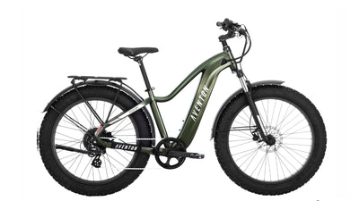 Aventure.2 Ebike (Step-over)