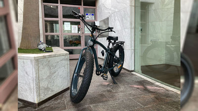 Gray Driven Fat Tire Step-Over