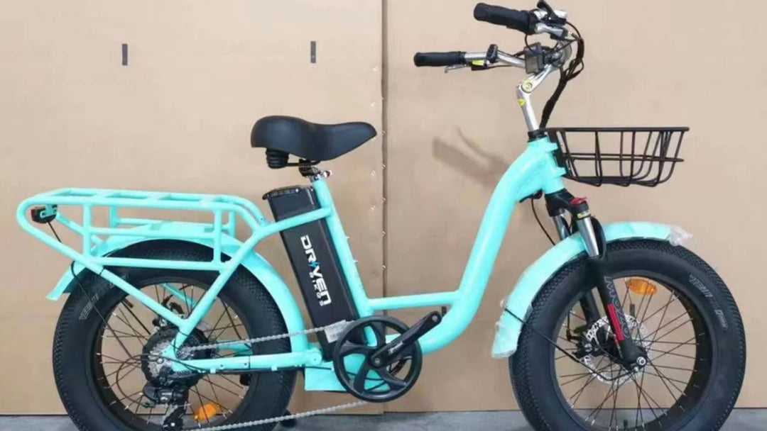 Driven HD Mini Cargo Step Through EBike