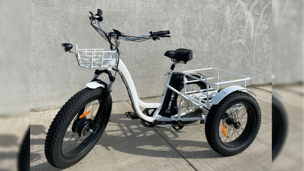 Driven Trikester Fat Tire Trike Step Through Cecil s Cyclery
