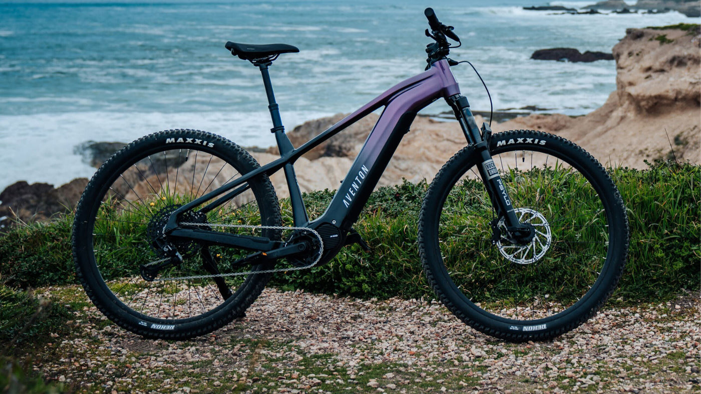Ramblas eMTB (Mid-Drive Motor)