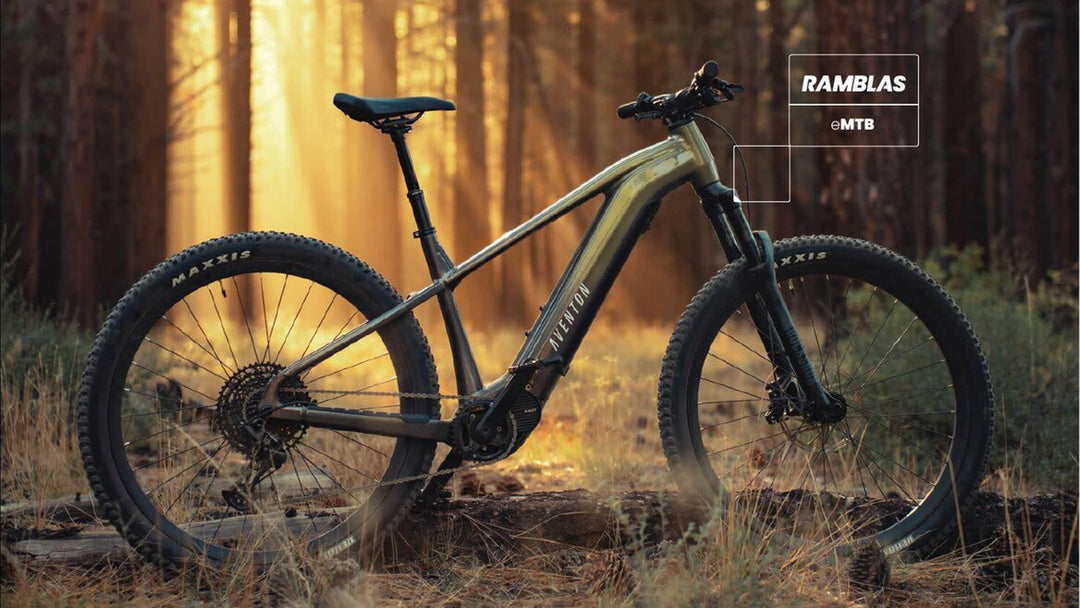 E Mtb Best E Hardtail Electric Bike Hardtail Mountain Bike Under