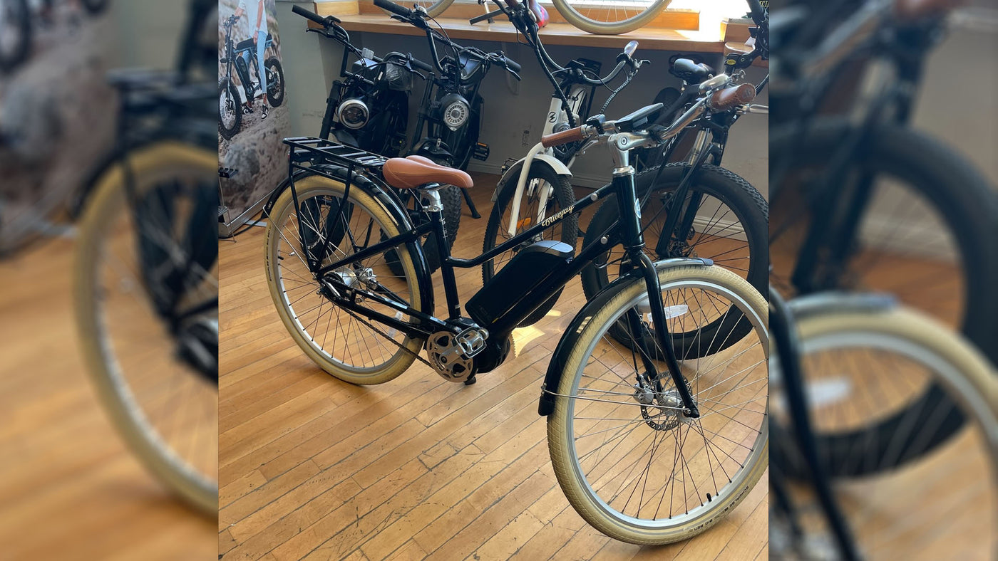 BlueJay Electric Bike Premiere Edition