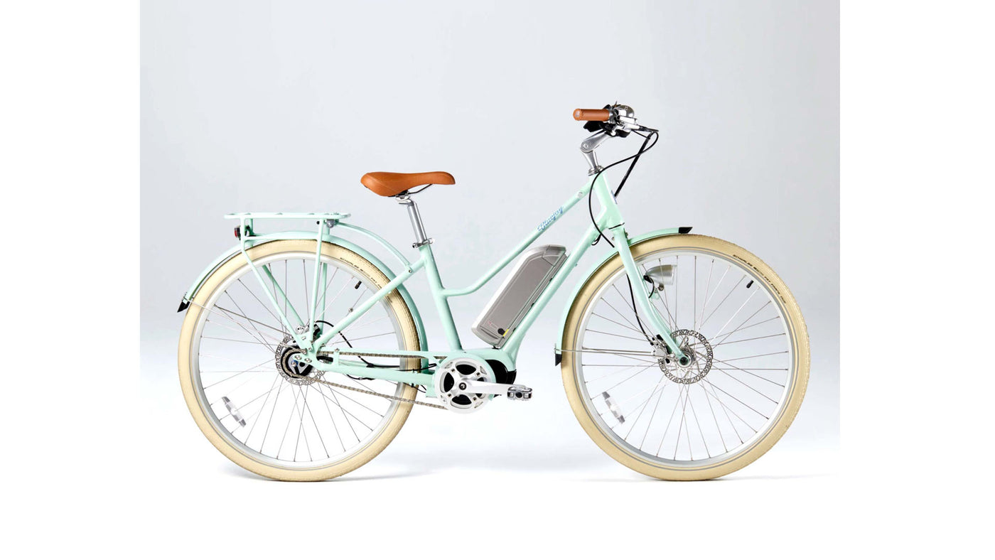 BlueJay Electric Bike Premiere Edition