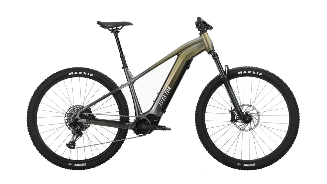 Ramblas eMTB (Mid-Drive Motor) – Cecil's Cyclery