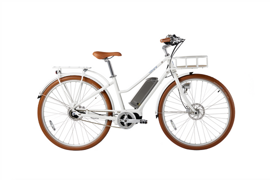 bluejay electric bicycles BlueJay Electric Bike Premiere Edition